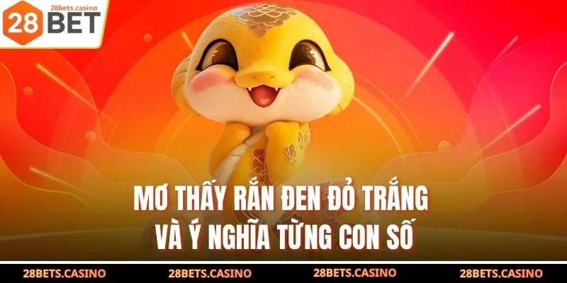 Mơ Thấy Rắn – Bí Mật Con Số Trúng Sau Từng Chi Tiết Mơ 3 Mơ thấy rắn đen đỏ trắng và ý nghĩa từng con số