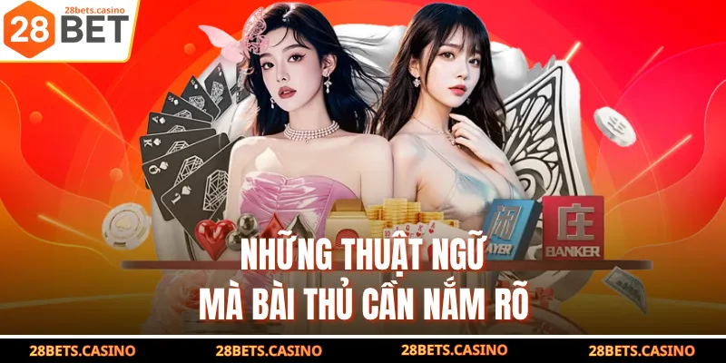 Bật Mí Cách Chơi Mậu Binh 28BET Cực Đỉnh Cho Người Mới 3 Những thuật ngữ mà bài thủ cần nắm rõ